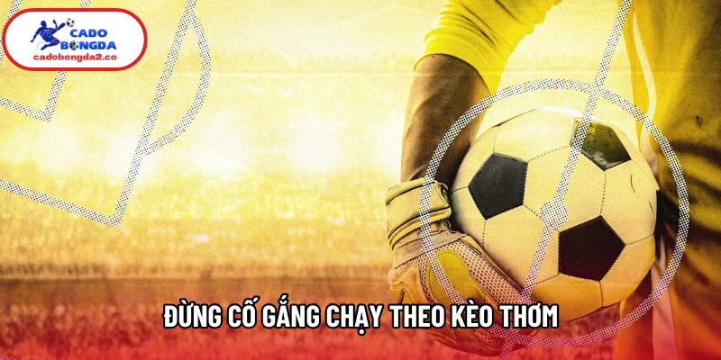 Đừng cố gắng chạy theo kèo thơm Đừng cố gắng chạy theo kèo thơm