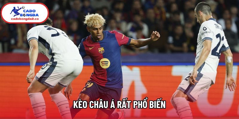 Kèo châu Á rất phổ biến Kèo châu Á rất phổ biến