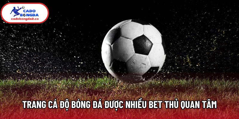 Trang cá độ bóng đá được nhiều bet thủ quan tâm Trang cá độ bóng đá được nhiều bet thủ quan tâm